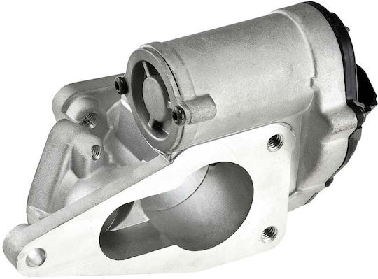 NTY Car EGR valve για Suzuki Grand Vitara Renault Grand Scenic / Laguna / Megane / Scenic