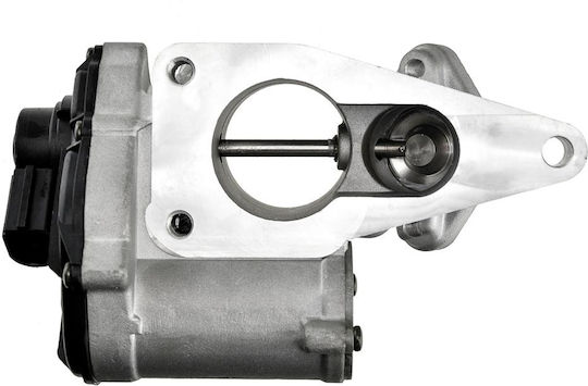 NTY Car EGR valve για Suzuki Grand Vitara Renault Grand Scenic / Laguna / Megane / Scenic