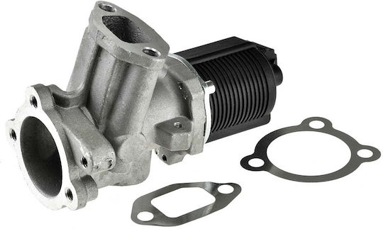 NTY Car EGR valve για Opel Astra / Corsa Fiat Doblo / Fiorino / Grande Punto / Idea / Linea / Punto Evo / Qubo / Strada Alfa Romeo Mito Lancia Musa / Ypsilon
