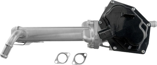 NTY Вентил EGR Кола за Volkswagen Amarok / Golf
