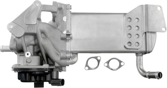 NTY Вентил EGR Кола за Volkswagen Amarok / Golf