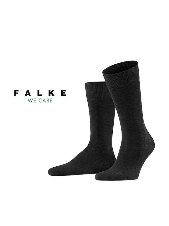 Falke Family Men's Socks Gray