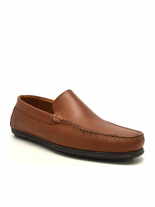 Damiani