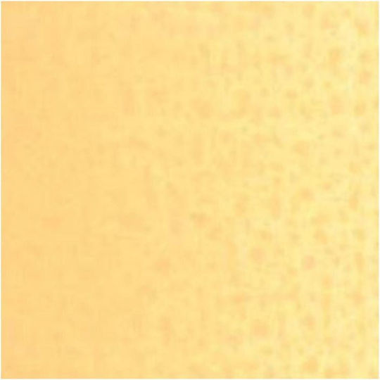 Royal Talens Van Gogh Beige Oil Colour 40ml Naples Yellow Red 224
