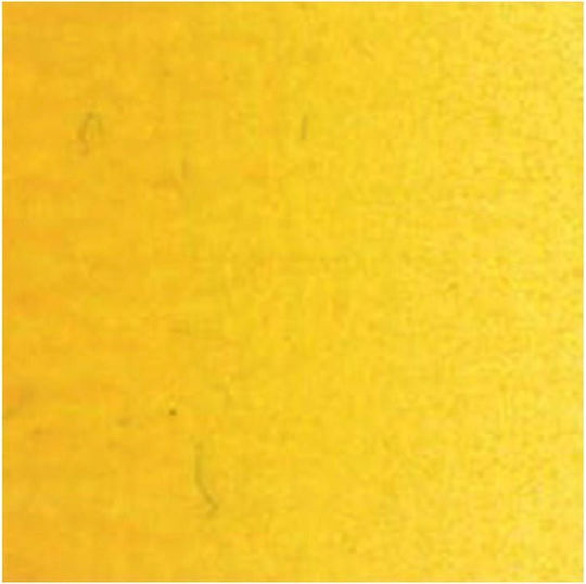Royal Talens Van Gogh Orange Oil Colour 40ml Indian Yellow 244