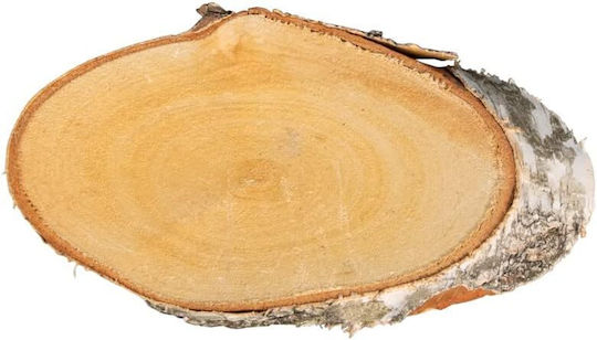Rayher Tree Trunk 23x21cm Thickness 2mm 1pcs