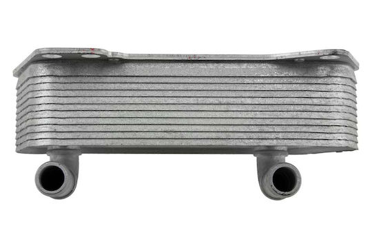 NTY Car Oil Radiator for Mercedes-Benz V Seat Leon Skoda Octavia Volkswagen Passat / Golf / Touran Audi A3