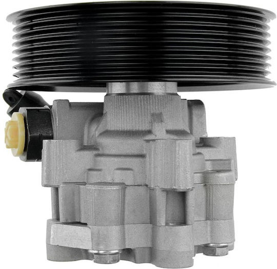 NTY Servolenkungspumpe Auto für Land Rover Entdeckung / Range Rover Sport