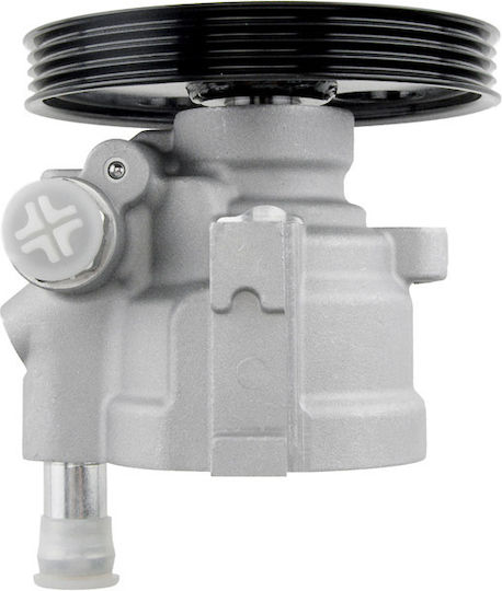 NTY Power Steering Pump Car for Renault Clio / Megane / Scenic / Kangoo / Express / Thalia Ford Express Dacia Duster / Logan / Logan MCV / Logan Pick-Up / Sandero Chevrolet Express