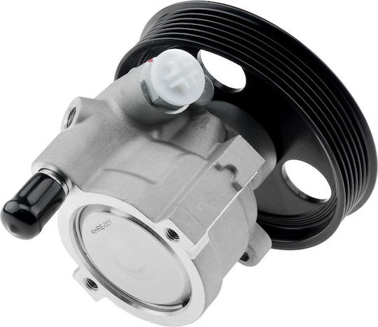 NTY Power Steering Pump Car for Renault Megane / Scenic / Laguna / Express Ford Express Dacia Duster / Logan / Logan MCV / Logan Pick-Up / Sandero Chevrolet Express