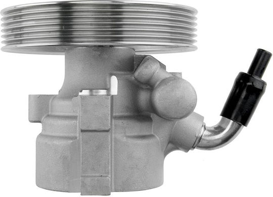 NTY Power Steering Pump Car for Peugeot 207 / 307 / 308 / Partner Citroen Berlingo / C3 / C3 Picasso / Xsara Picasso