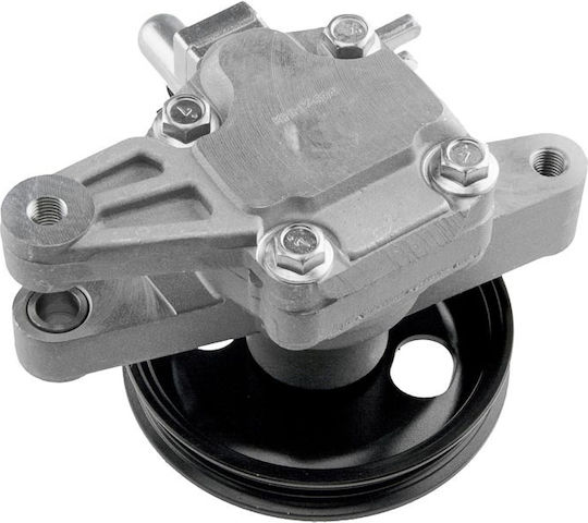NTY Power Steering Pump Car for Kia Sportage Hyundai Tucson