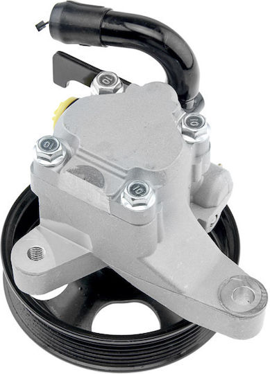 NTY Power Steering Pump Car for Kia Sorento