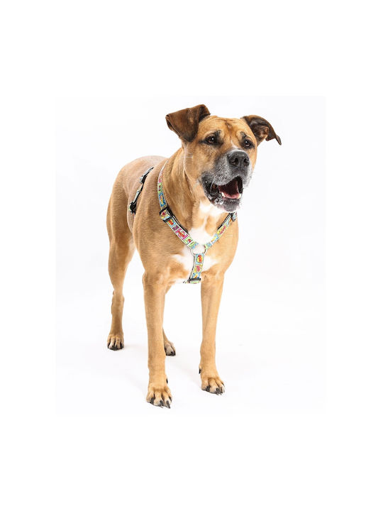 Max & Molly Dog Harness Comic Small 15mm x 41-52cm ΜΜ0129