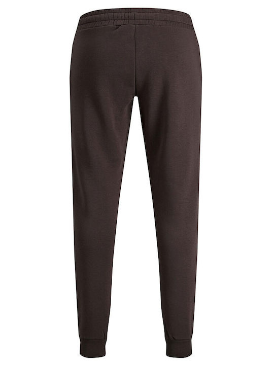 Sweatpants with Elastic Seal Brown