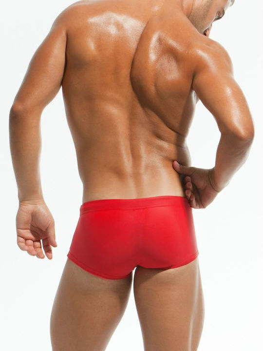 Modus Vivendi