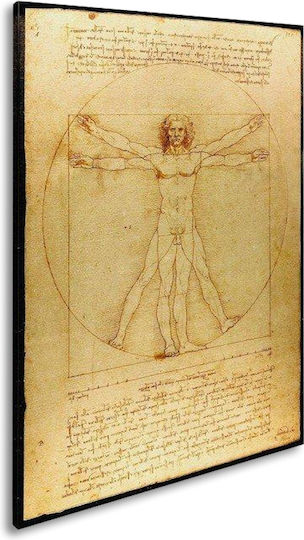 I-gallery The Vitruvian Man Painting Copy of Da Vinci on Canvas 35x50cm