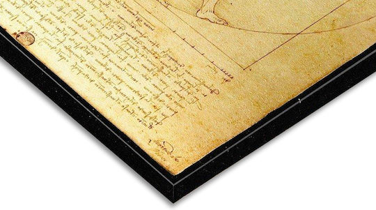 I-gallery The Vitruvian Man Painting Copy of Da Vinci on Canvas 35x50cm