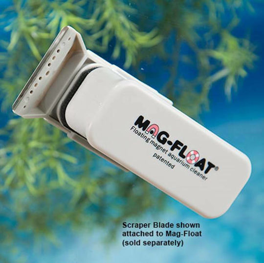 Mag-Float Magnet Aquarium 2.5x2.5cm