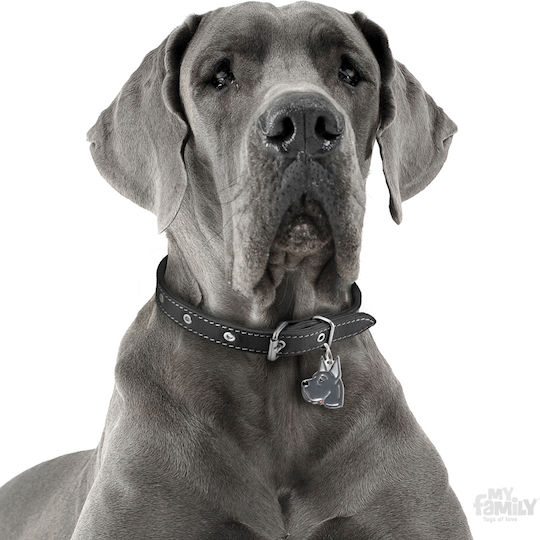 My Family Great Dane Dog ID Tag Blue (Personalized)