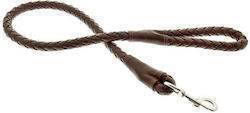 Ferribiella Dog Leash/Lead Strap in Brown color 2cm