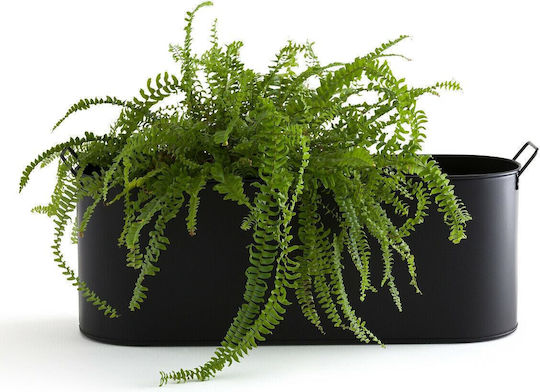 La Redoute Interieurs Planter Box Metallic Black 68x26x22.9cm.