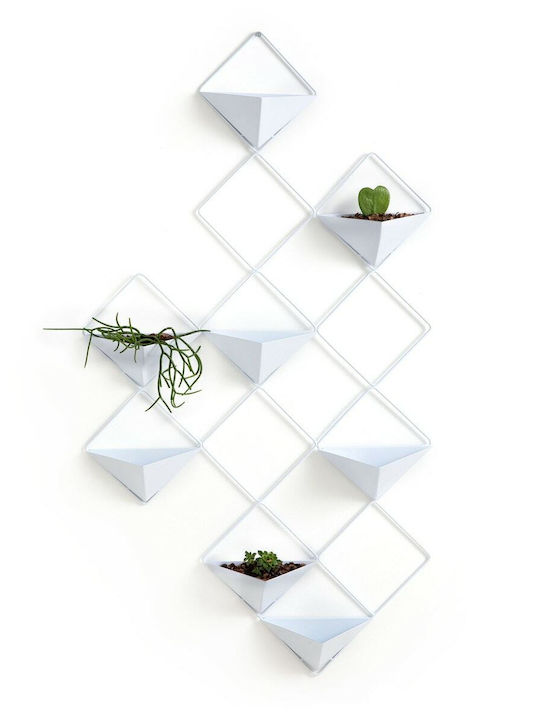 La Redoute Interieurs Vaze Pentru Plante Metalice Negre 8 Module