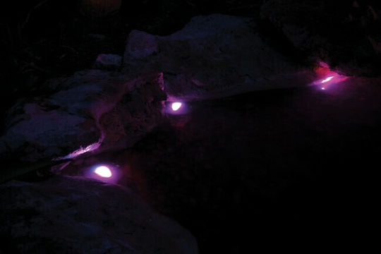Pontec Led Lamp for Aquarium Lighting 200cm