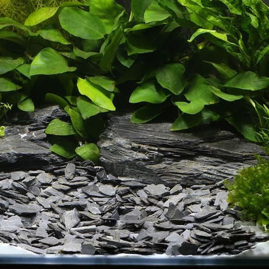 Dennerle Plantahunter Baikal Aquarium Soils / Substrates 5kg