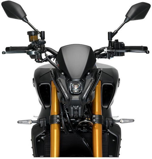 Puig Φιμέ Ζελατίνα Μοτοσυκλέτας για Yamaha MT-09 20643J