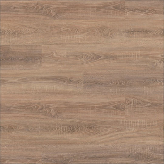 Kronospan Oak Pardoseală laminată 8mm TC8072CMC