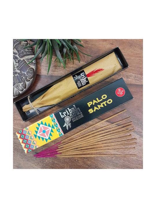 Αρωματικά Sticks 3082001 15gr