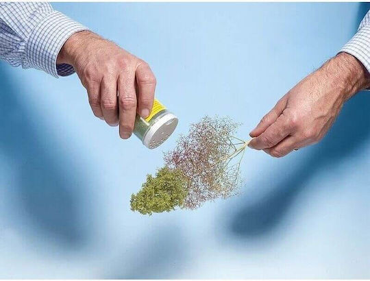 Noch Planta Machetă