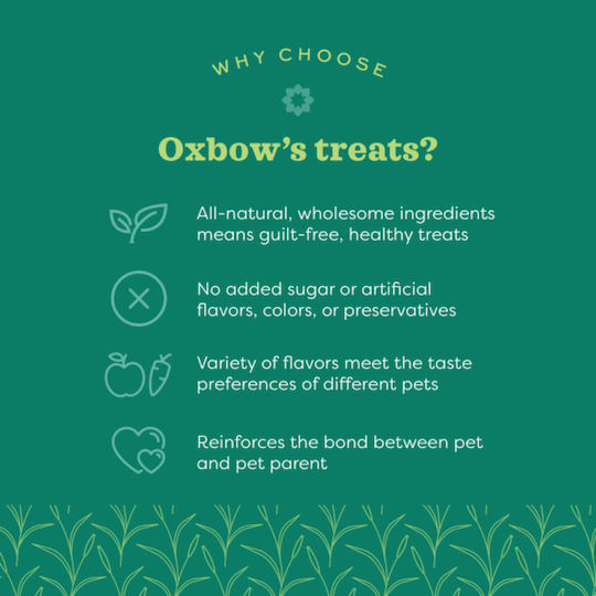 Oxbow Behandelt für Hase Organic 75gr 1Stück