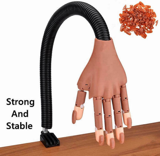 Educational Hand for Spa and Beauty