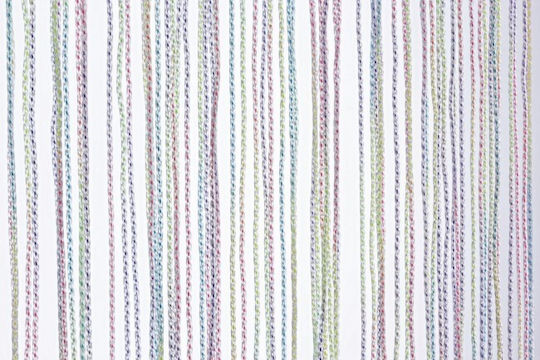 Bizzotto Carloa Door Curtain Made of Plastic Transparent 120x240cm 0458784
