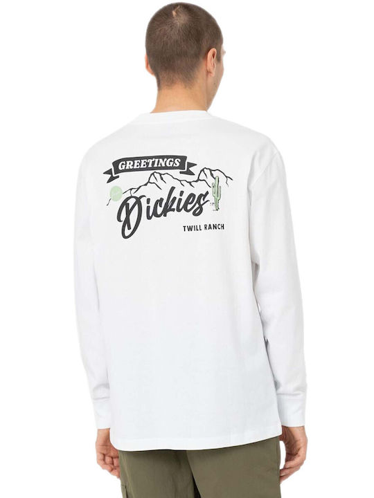 Dickies Dickies