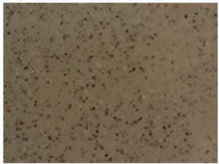 Sanitec Classic Ένθετος Νεροχύτης Δεξιός από Συνθετικό Γρανίτη Μ96xΠ51cm Granite Terracota