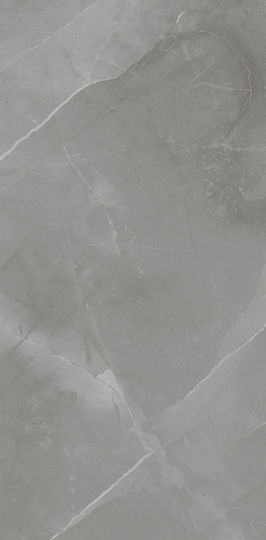 Winasa Ceramica Placă Porțelanat Lucios 120x60cm Gri