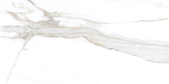 Winasa Ceramica Fliese 120x60cm Weiß