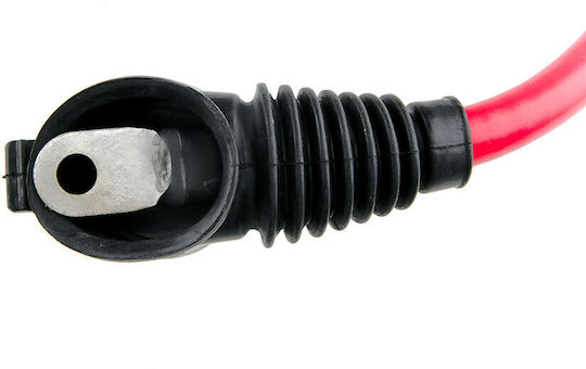 NTY EBP-BM-004
