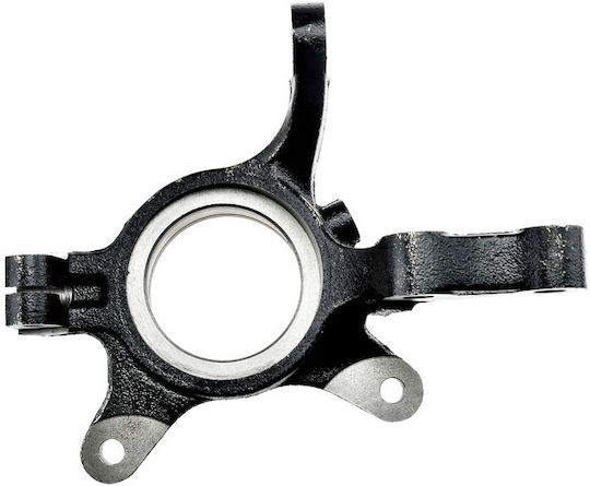 NTY Achsschenkel für Fiat Sechzehn suzuki SX4 ZZP-SU-004