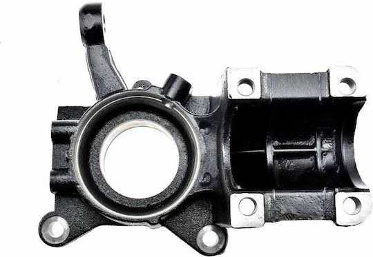 NTY Achsschenkel für Citroen Pullover Fiat Ducato Peugeot Boxer ZZP-FT-006