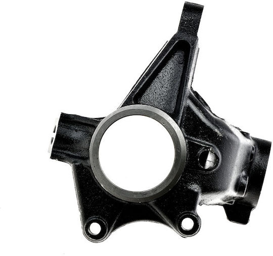 NTY Steering Knuckle for Peugeot 206 ZZP-PE-009