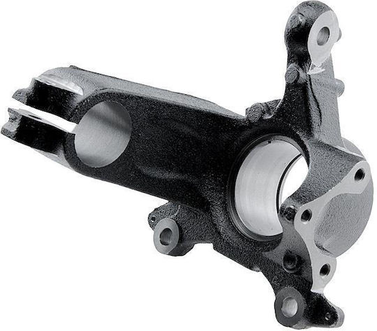 NTY Achsschenkel für Citroen Pullover Fiat Ducato Peugeot Boxer ZZP-FT-001