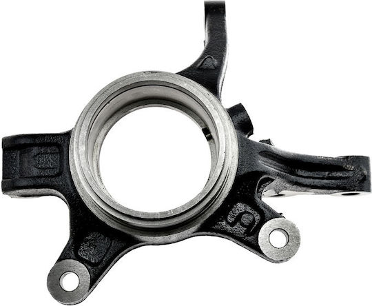 NTY Achsschenkel für Fiat Sechzehn suzuki SX4 ZZP-SU-005