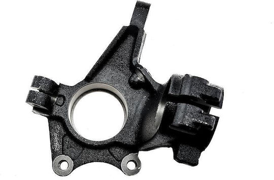 NTY Steering Knuckle for Peugeot 206 ZZP-PE-008