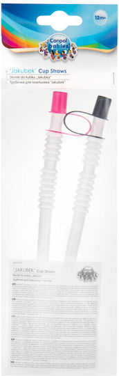 Canpol Babies Plastic Baby Replacement Straw for 12+ months 2pcs Transparent