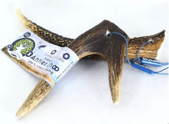 Antler BlooChoo Corn pentru câini Rase mici din Cerb 50gr