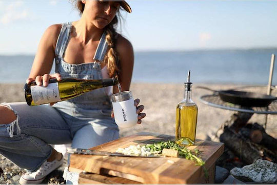 Stanley Go Everyday Wine Tumbler Glass Thermos Stainless Steel 290ml Wine with Straw and Handle